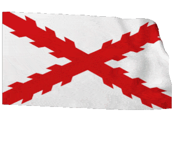bandera cruz de borgoña